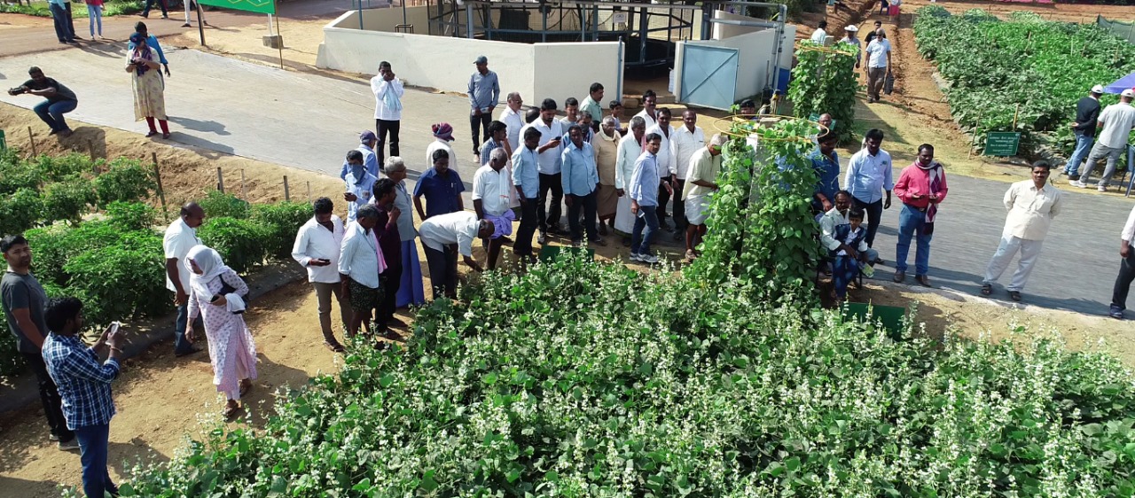 Concluding day (08.2.2020) of the National Horticulture Fair-2020