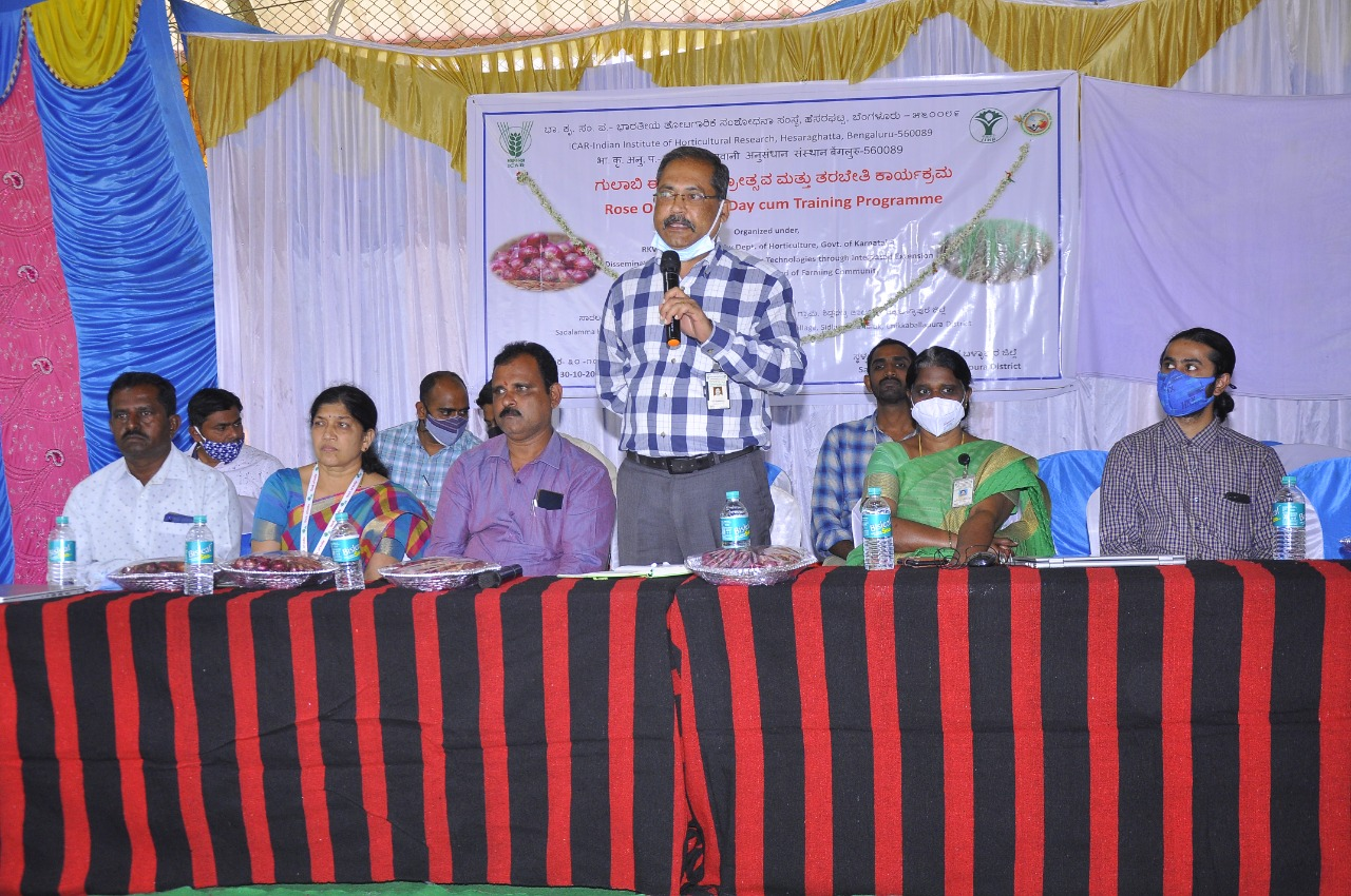 ICAR-IIHR organized field day cum off-campus training programme on Rose Onion