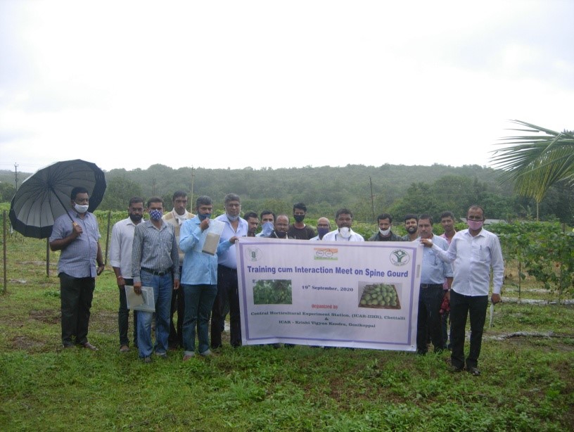 Training cum Interaction Meet on Spine Gourd Cultivation organized at CHES (ICAR-IIHR), Chettalli on 19th September, 2020