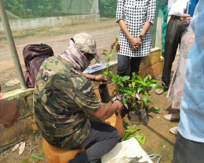 Training on Nursery Management Techniques