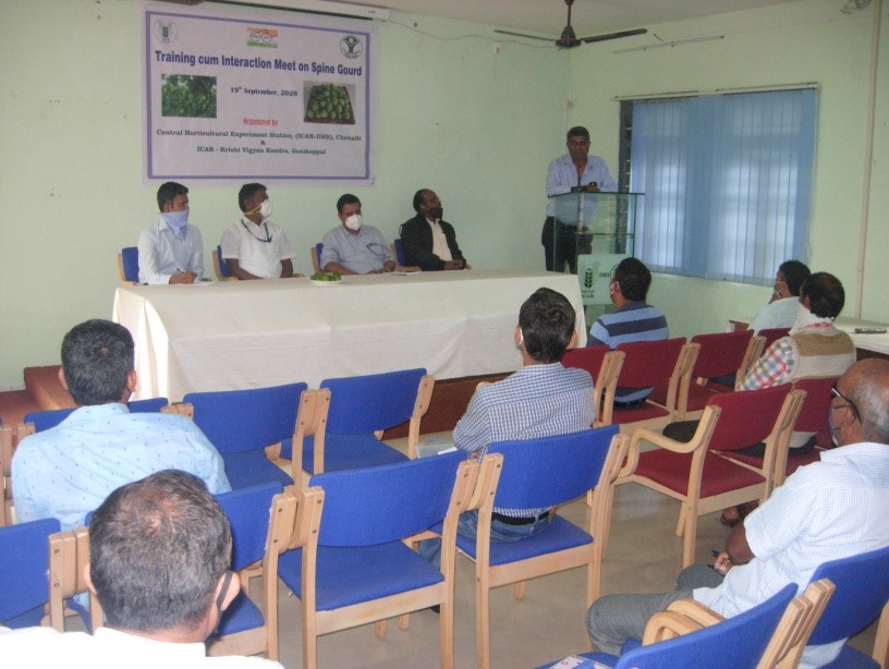 Training cum Interaction Meet on Spine Gourd Cultivation organized at CHES (ICAR-IIHR), Chettalli on 19th September, 2020
