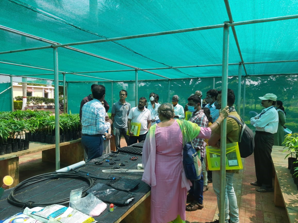 Training on Nursery Management Techniques