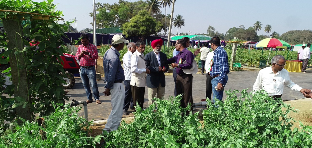 Concluding day (08.2.2020) of the National Horticulture Fair-2020