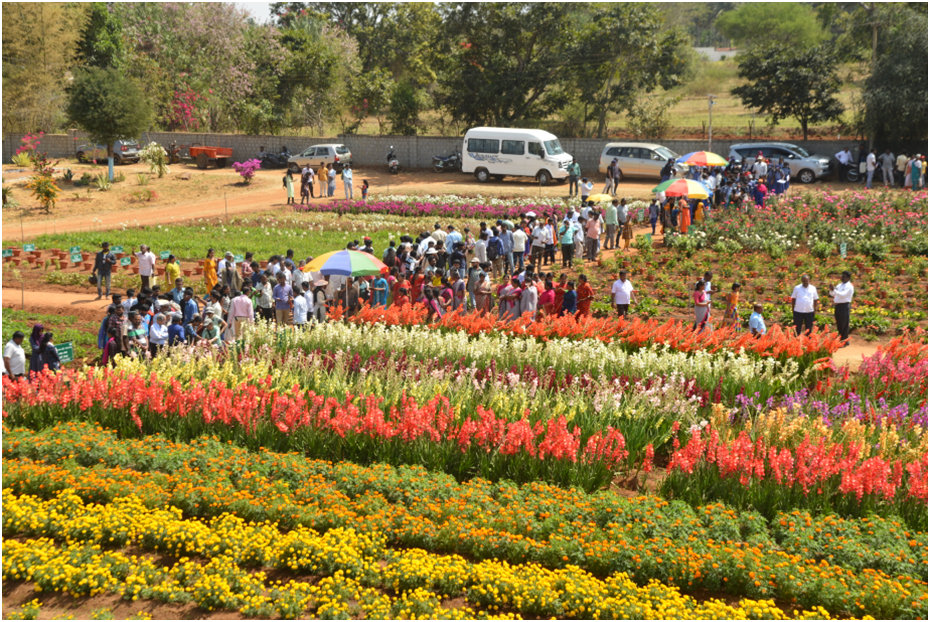 Concluding day (08.2.2020) of the National Horticulture Fair-2020