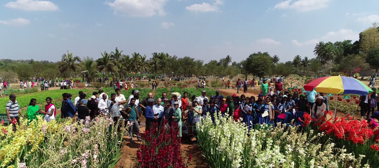 Concluding day (08.2.2020) of the National Horticulture Fair-2020