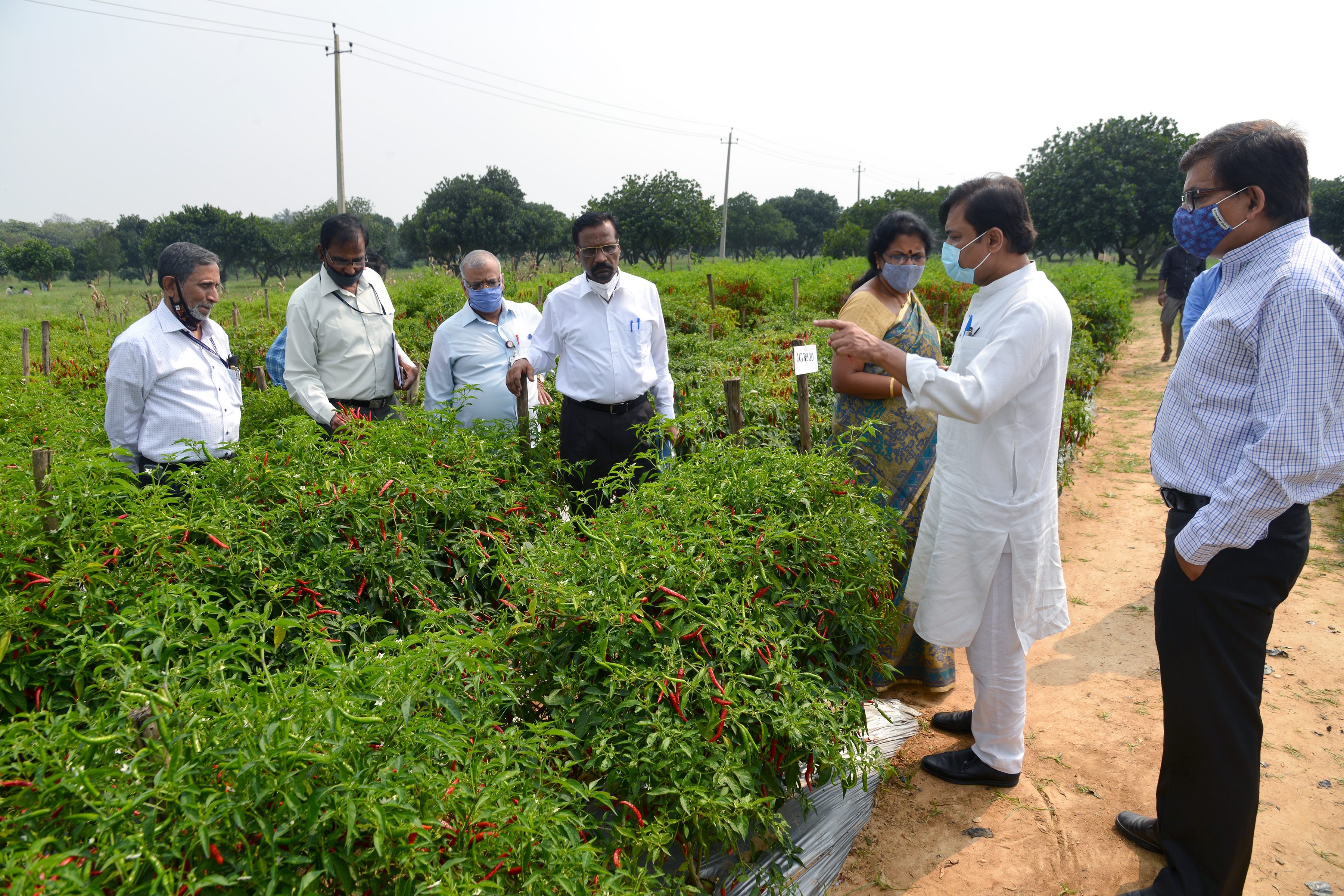 Visit of Sri. G.V.L. Narasimha Rao, Hon’ble Member of Parliament (Rajya Sabha); Member, Spices Board and Chairman, Chilli Task Force Committee, to ICAR-IIHR on 2nd November, 2020