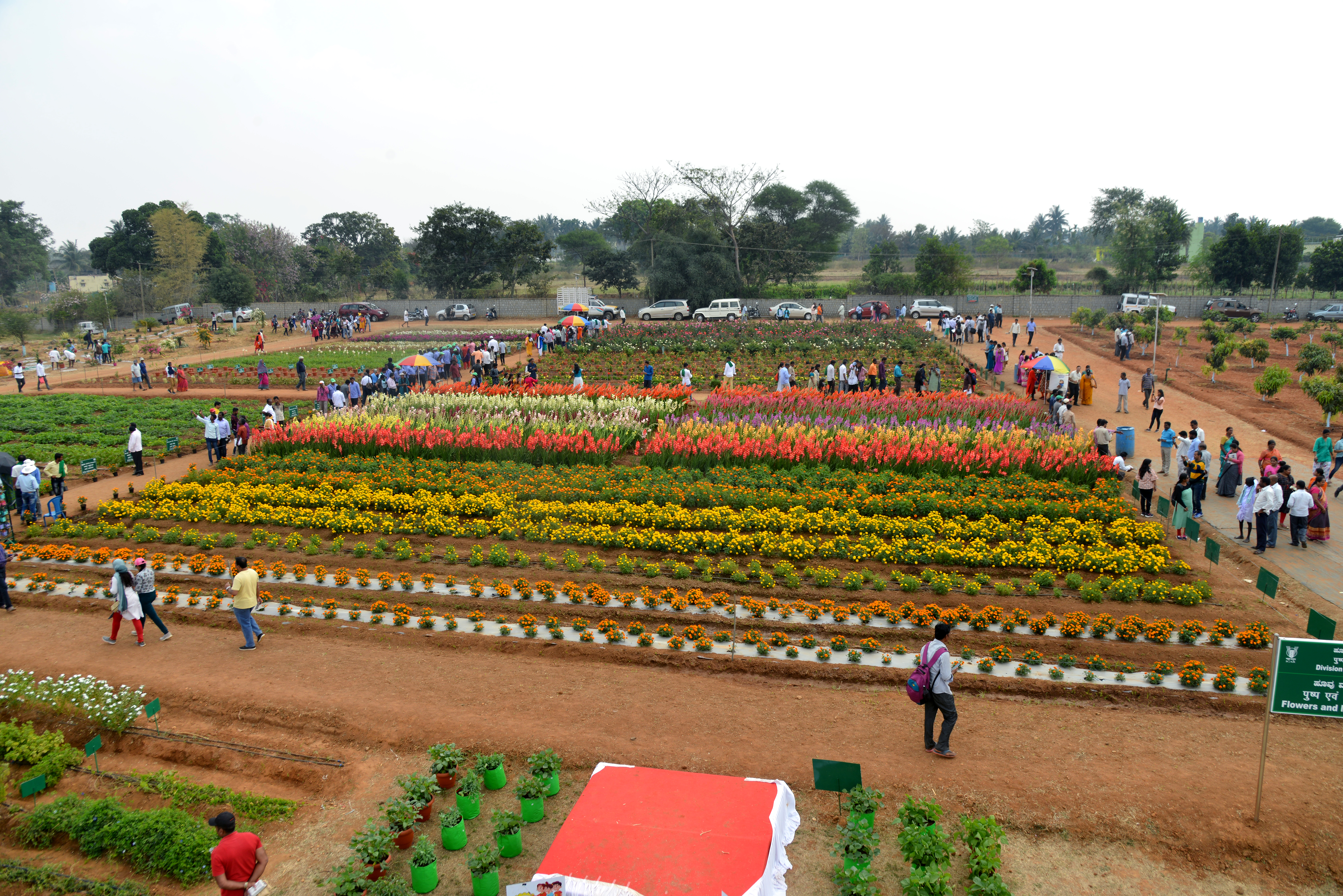 Third day (07.2.2020) of National Horticulture Fair 2020