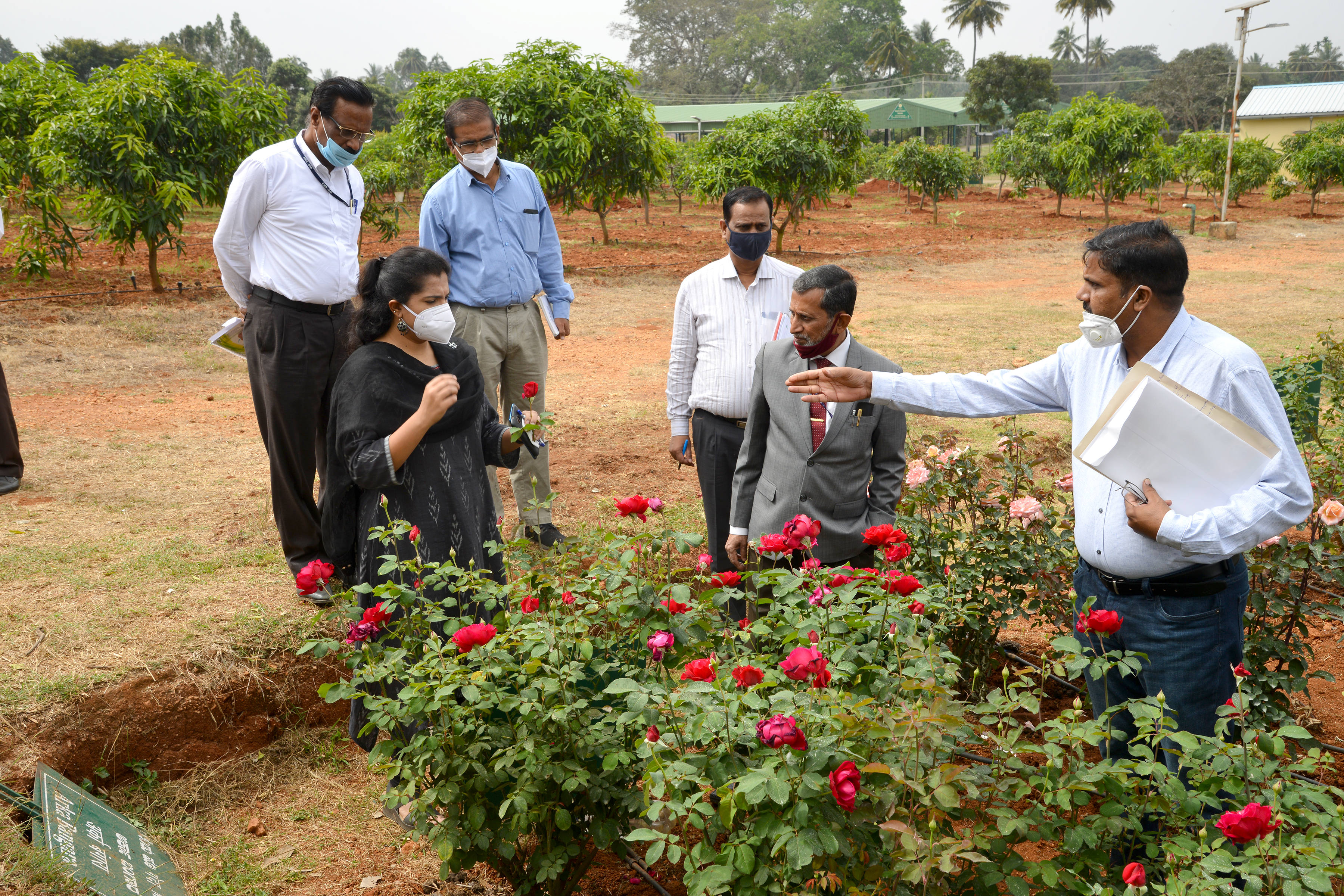 Visit of Ms. B. Fouzia Taranum, IAS, Director of Horticulture, Government of Karnataka on 31.12.2020 