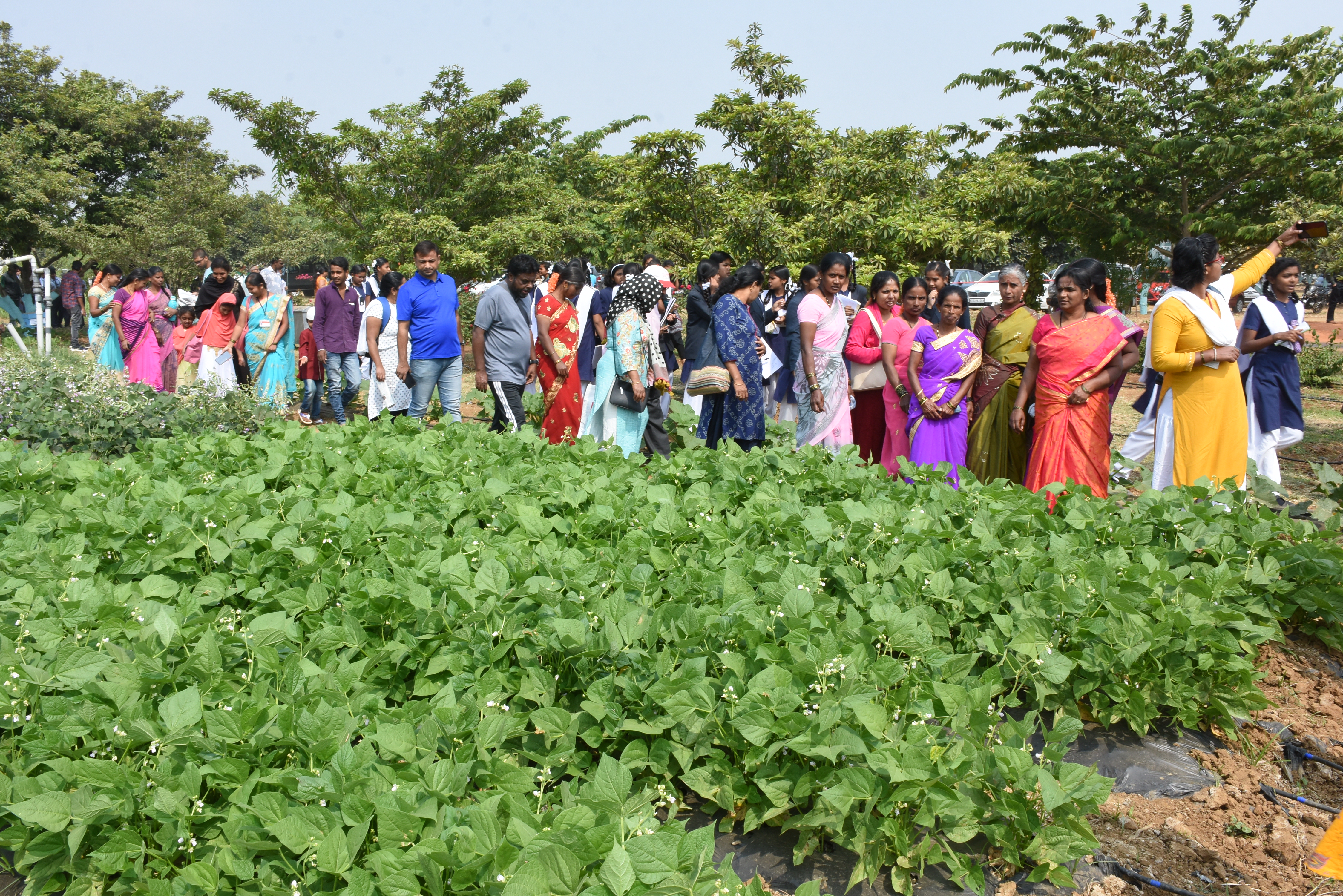 Third day (07.2.2020) of National Horticulture Fair 2020