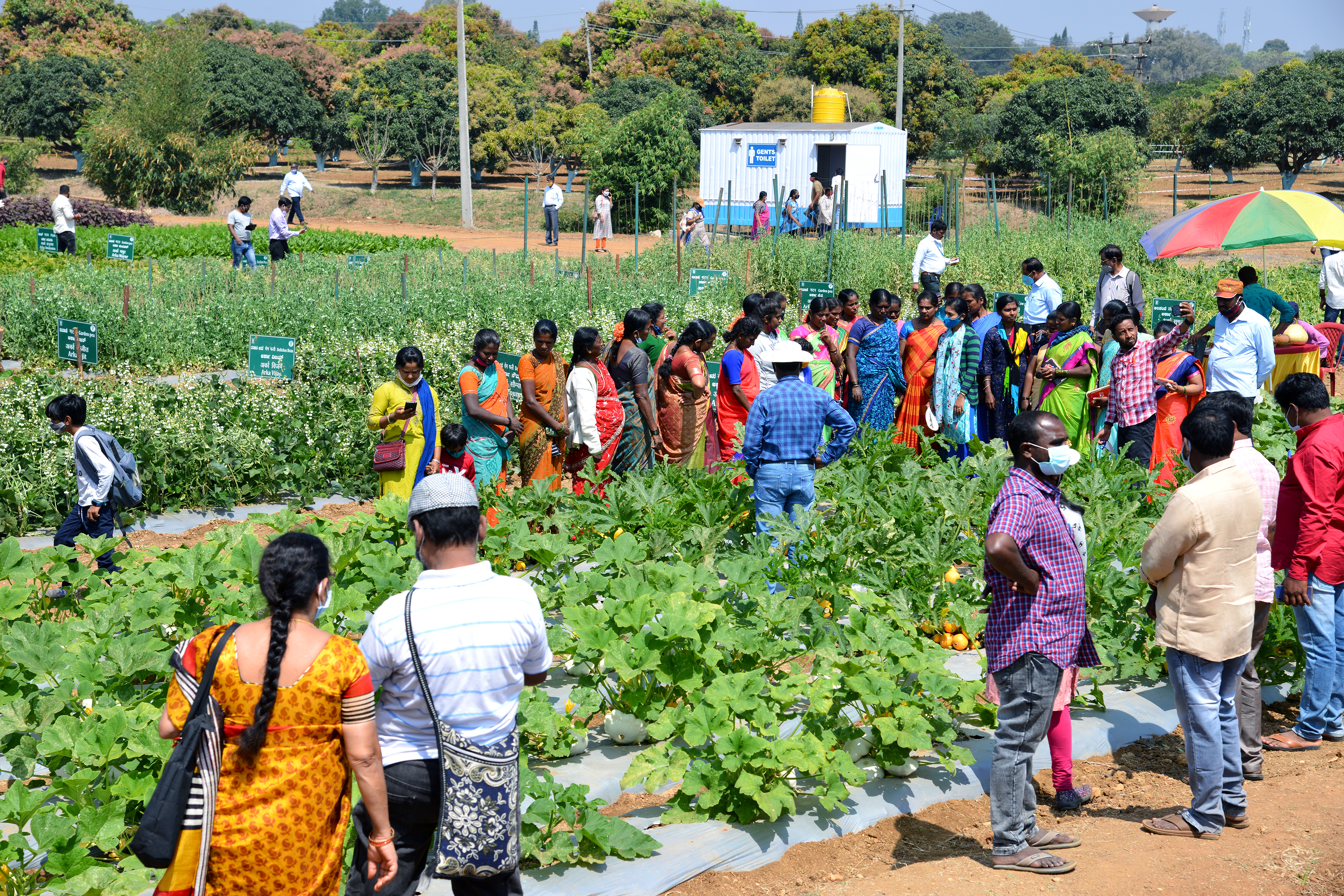 National Horticulture Fair  2021  – Technical Sessions of Day Two
