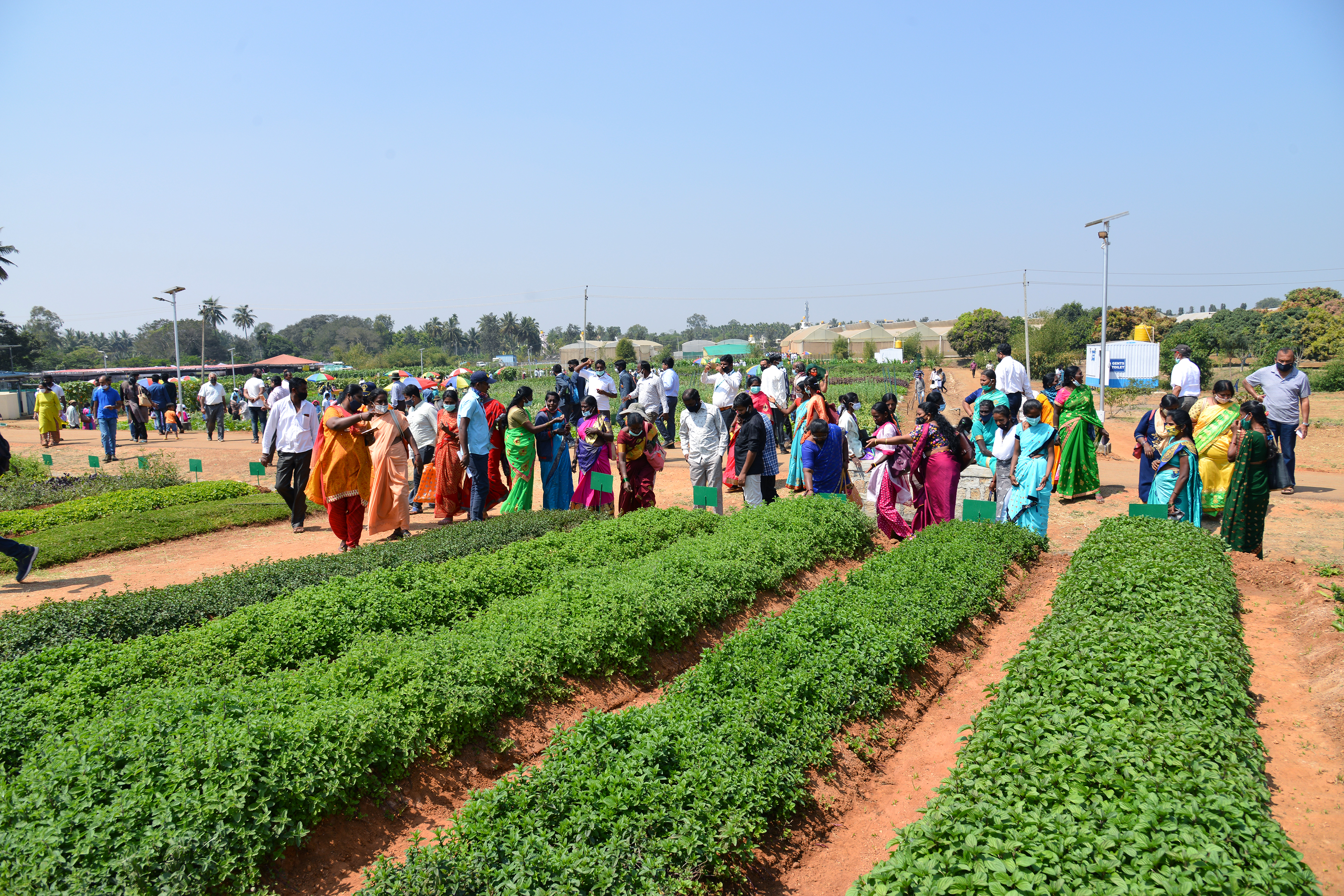 National Horticulture Fair  2021  – Technical Sessions of Day Two