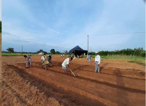 Three days training forquality planting material of horticultural crops organised in Nabarangpur, Odisha by CHES (ICAR-IIHR) under RKVY(S&T)
