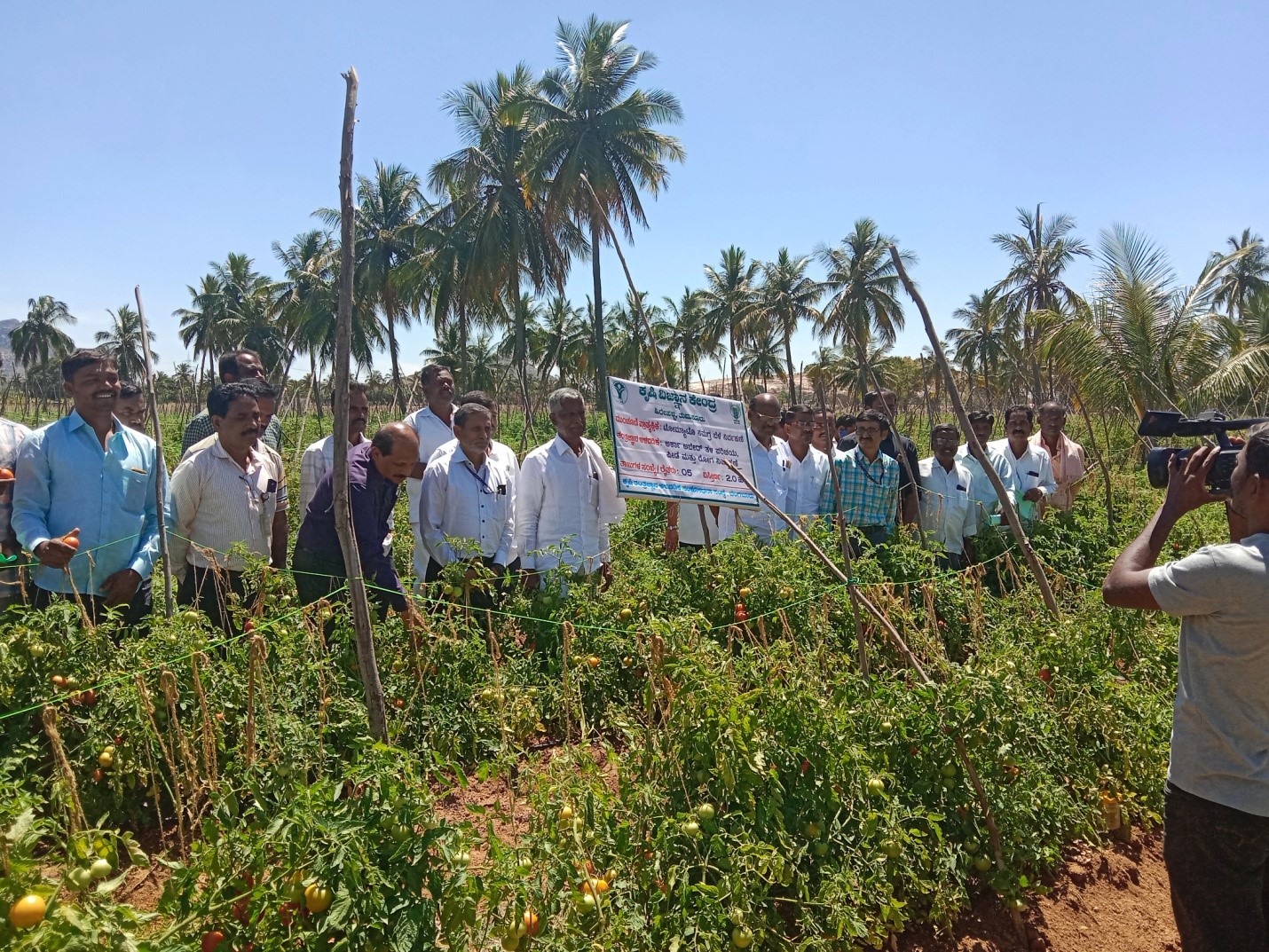 Field Day on ICM in Tomato Arka Abedh Hybrid by ICAR-KVK Hirehalli and Vegetable Division of ICAR-IIHR on 12th March 2021