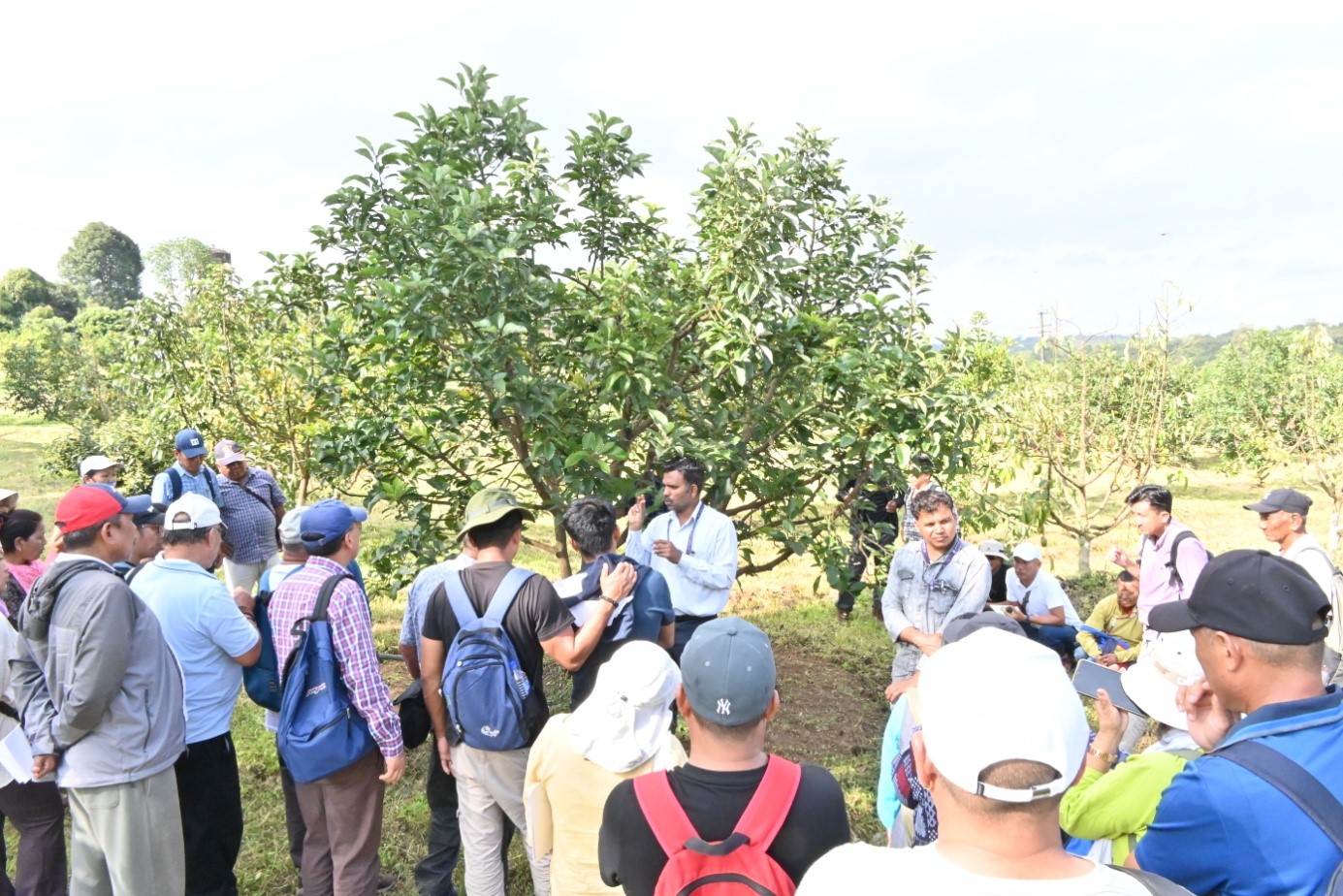 ICAR-IIHR-CHES, Chettalli organized a training programme on “Scientific Cultivation of Avocado” on 18 September 2025