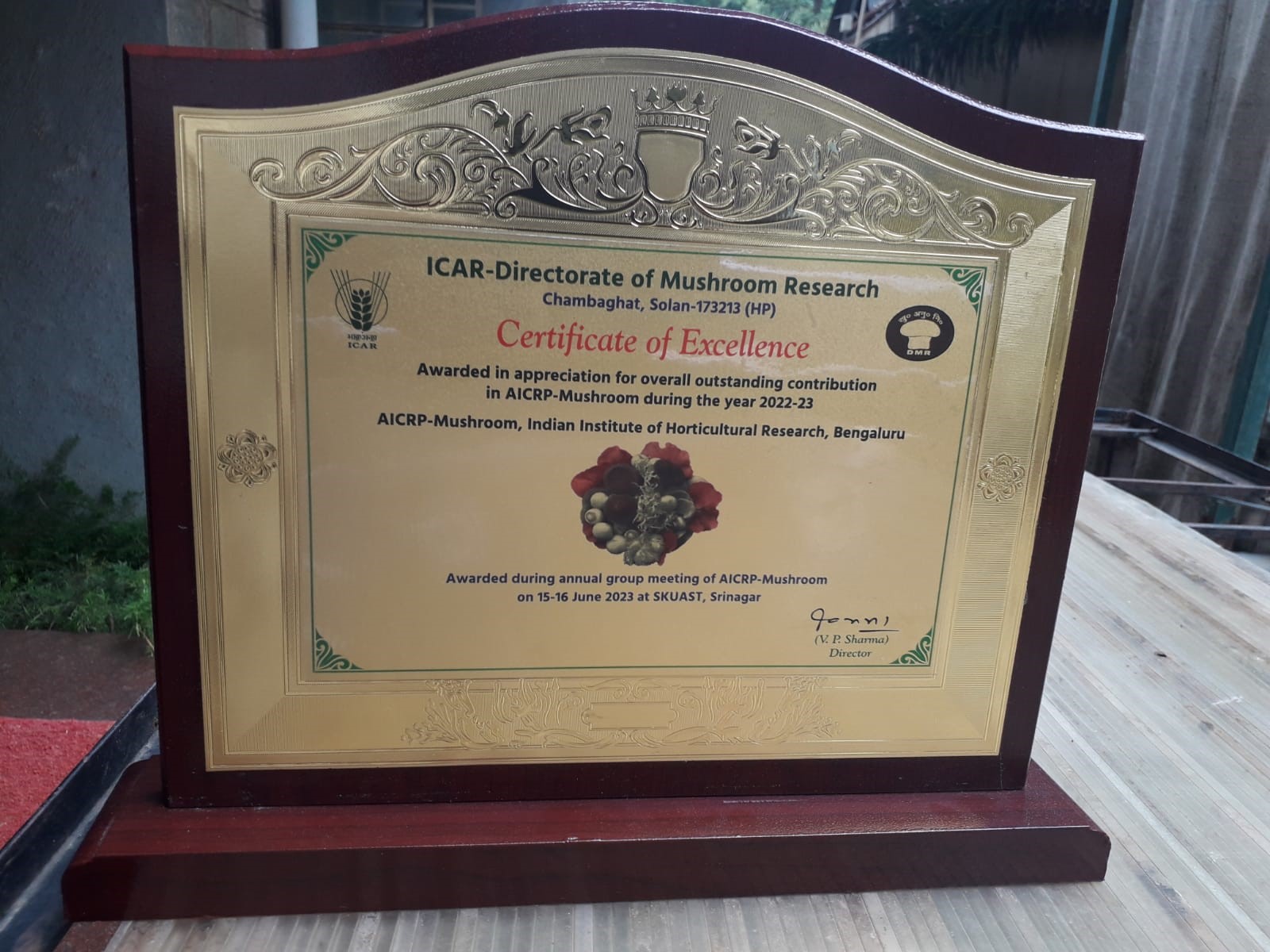 Certificate of Excellence Awarded in appropriate for overall outstanding contribution in AICRP-Mushroom during the year 2022- 23
