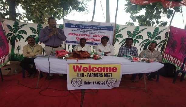 Bhendi and Tomato Field Day was Organized at Bidar