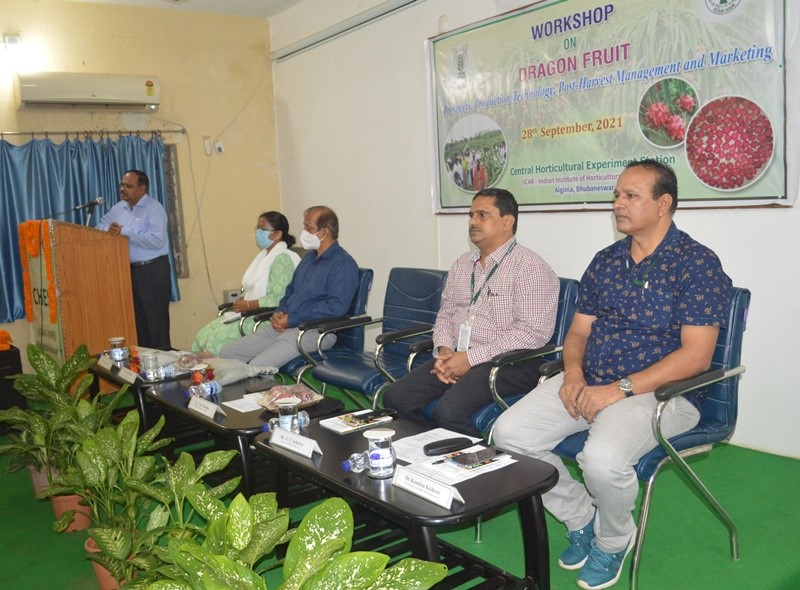 Workshop on Dragon fruit organized by CHES (ICAR-IIHR), Bhubaneswar