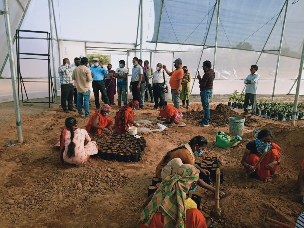 Activities and Achievements of CHES (ICAR-IIHR), Bhubaneswar in horticultural development of Nabarangpur district of Odisha displayed