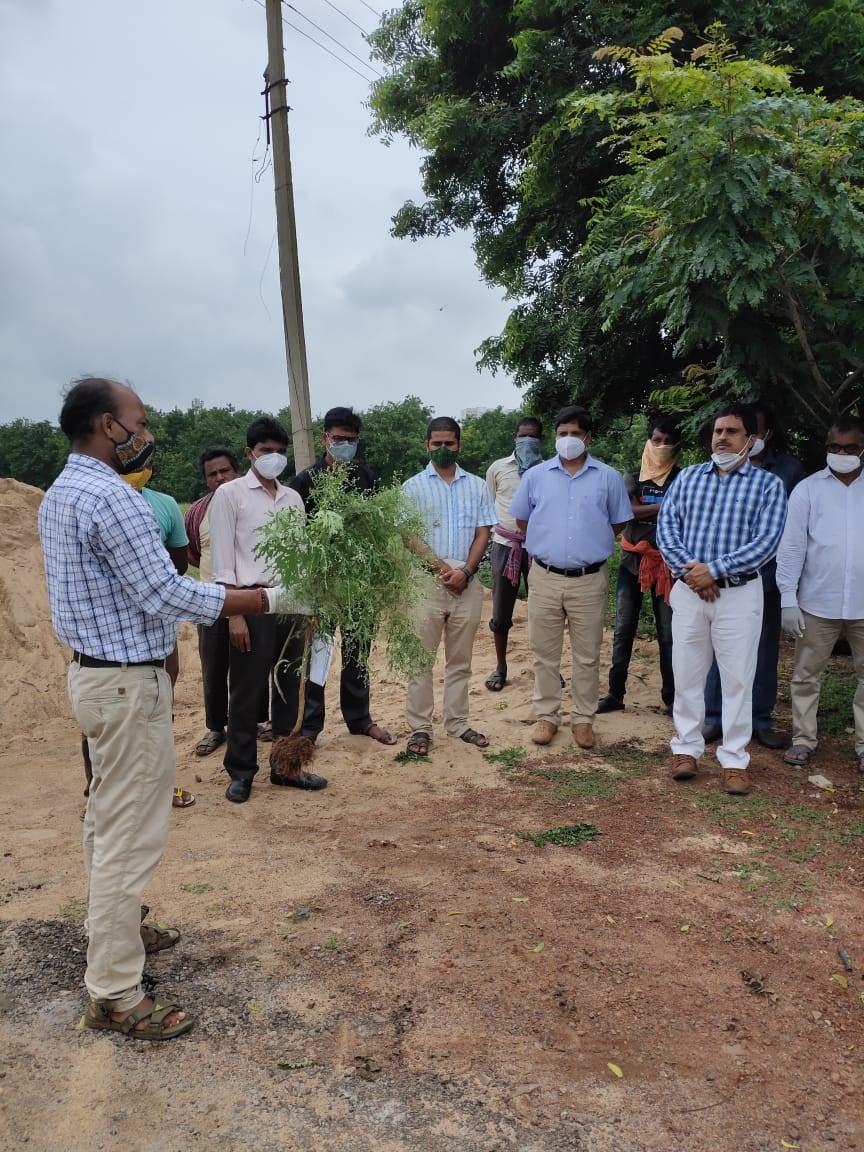 Observation of 16th Parthenium Awareness week at ICAR-IIHR,CHES,Bhubaneswar from 16-22 August, 2021