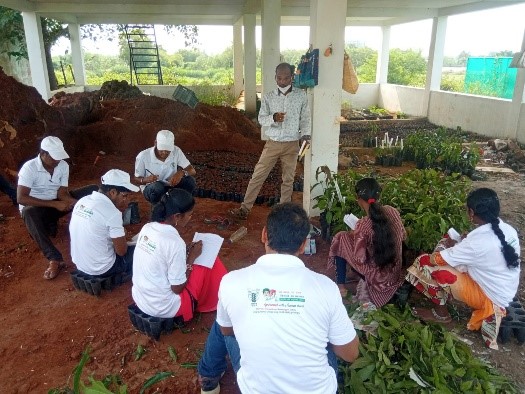 Five days on-campus training on commercial nursery techniques organized at CHES (ICAR-IIHR), Bhubaneswar under RKVY (S&T) project from 4th to 8th Oct 2021