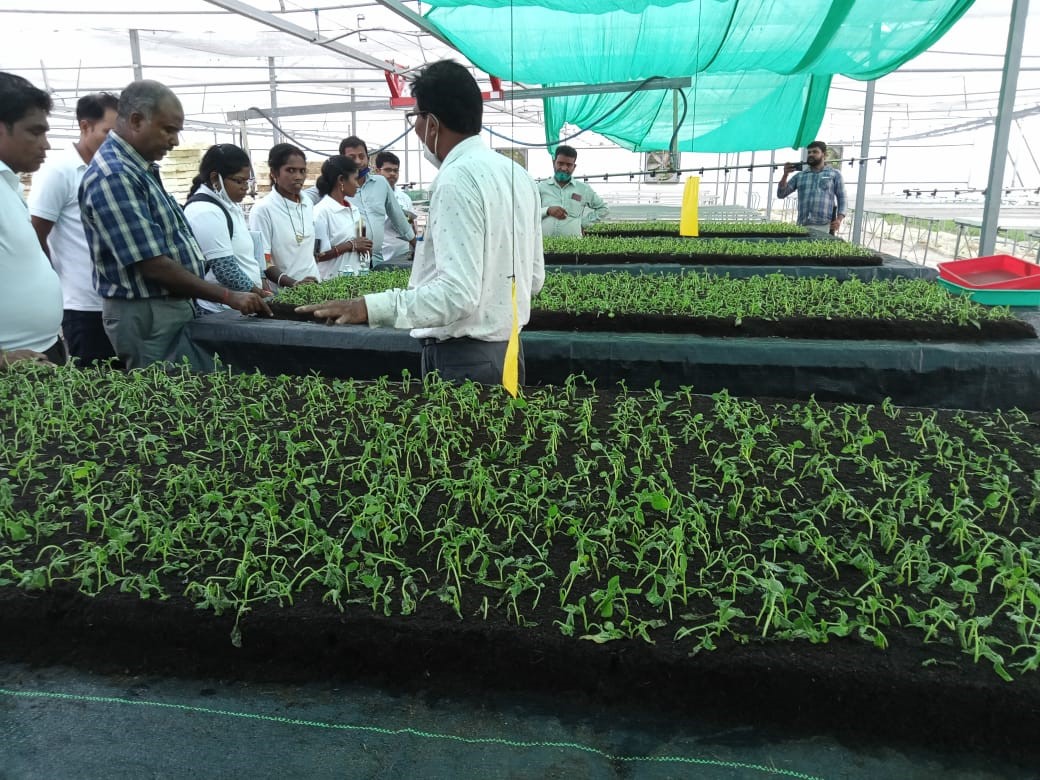 Five days on-campus training on commercial nursery techniques organized at CHES (ICAR-IIHR), Bhubaneswar under RKVY (S&T) project from 4th to 8th Oct 2021