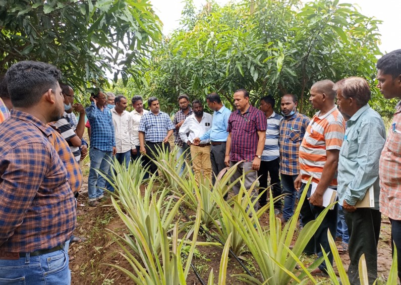 Off-campus Training on Good Agricultural Practices for Pineapple Organized by CHES (ICAR-IIHR), Bhubaneswar 