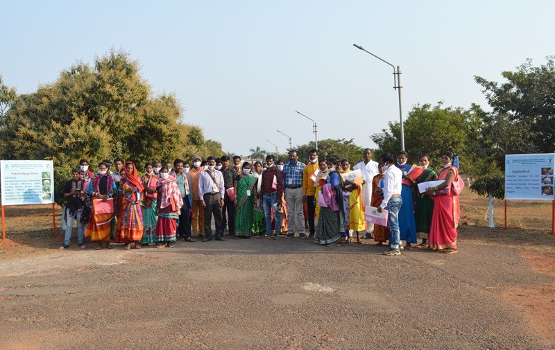 Central Horticultural Experiment Station (ICAR-IIHR), Bhubaneswar organized demonstration of Horticultural technologies and field exposure visits during the National Horticulture Fair 2021