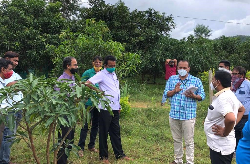Field Day on ‘Canopy Management in Mango’ was organized by CHES (ICAR-IIHR), Bhubaneswar at farmer’s field