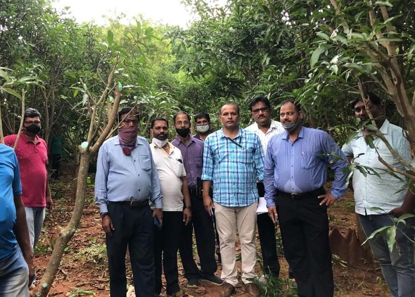 Field Day on ‘Canopy Management in Mango’ was organized by CHES (ICAR-IIHR), Bhubaneswar at farmer’s field