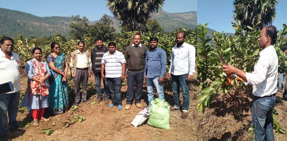 Central Horticultural Experiment Station, Bhubaneswar organized a Field Day on “Canopy Management and Plant Protection Techniques in Guava” at Nayagarh on 14th January, 2020