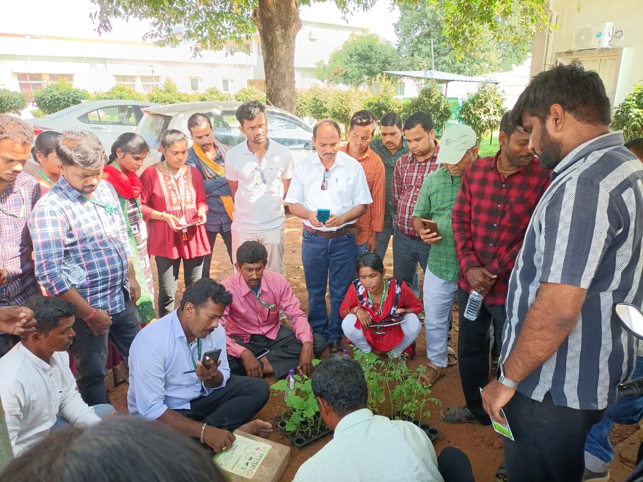 Training cum-Exposure Programme on Grafting Techniques organized by  ICAR-IIHR-CHES, Bhubaneswar 