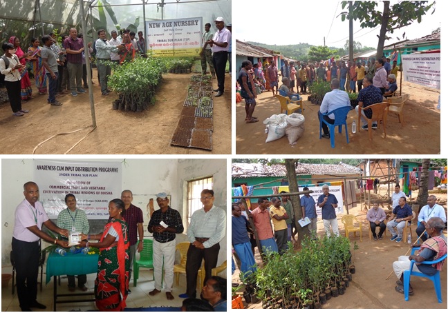 Awareness cum Input Distribution Program Organized by CHES (ICAR-IIHR), Bhubaneswar under the TSP 