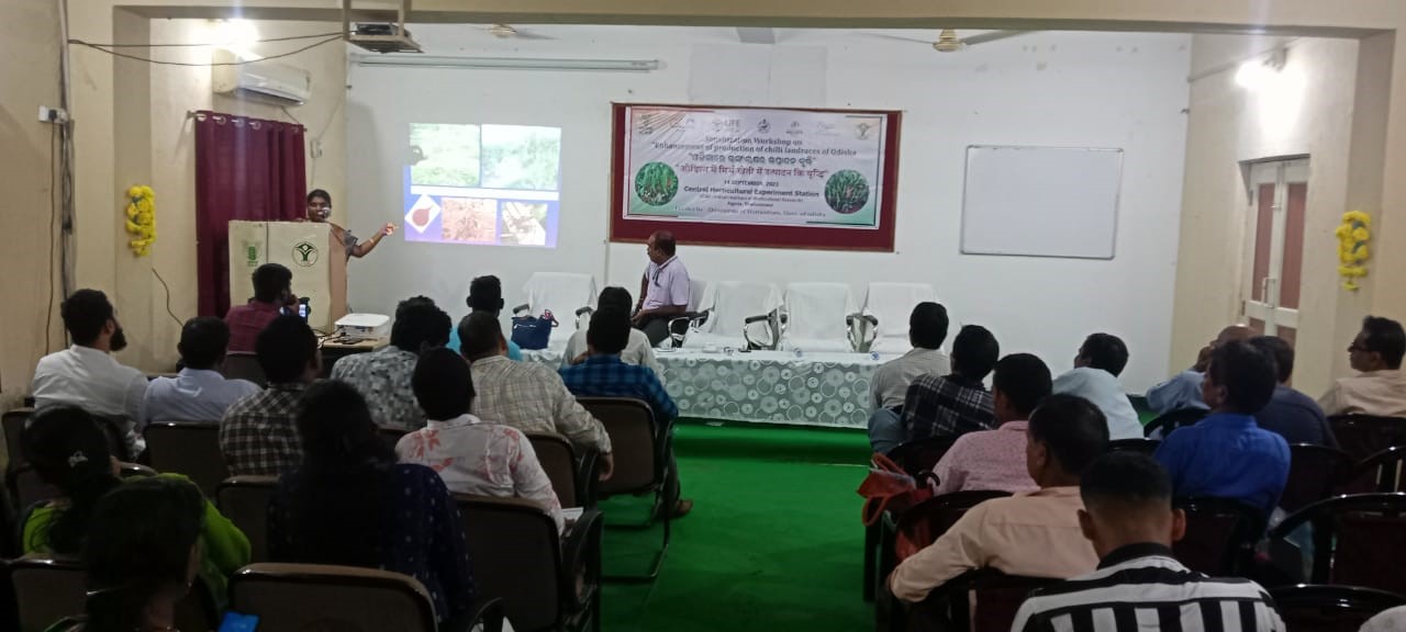 Sensitization workshop on chilli organized at CHES, ICAR-IIHR Bhubaneswar 