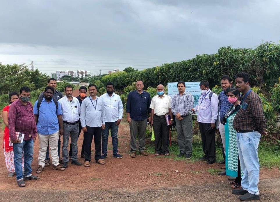 Training on Canopy Management and Mango Rejuvenation was organized for horticulture officers of Odisha by CHES (ICAR-IIHR), Bhubaneswar 