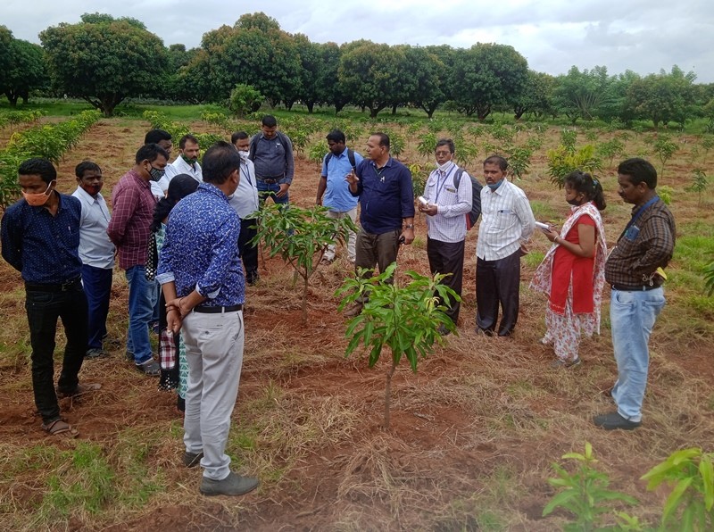 Training on Canopy Management and Mango Rejuvenation was organized for horticulture officers of Odisha by CHES (ICAR-IIHR), Bhubaneswar 