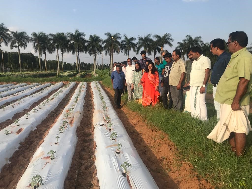 ICAR-IIHR, Bengaluru organized a special training programme on “Cultivation practices and export protocol for Vegetables & Ornamental crops” for the farmers of Kerala 