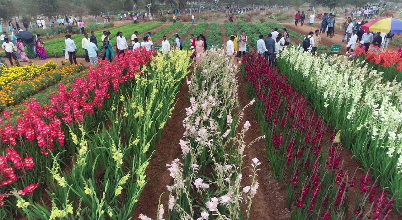 Third day (07.2.2020) of National Horticulture Fair 2020