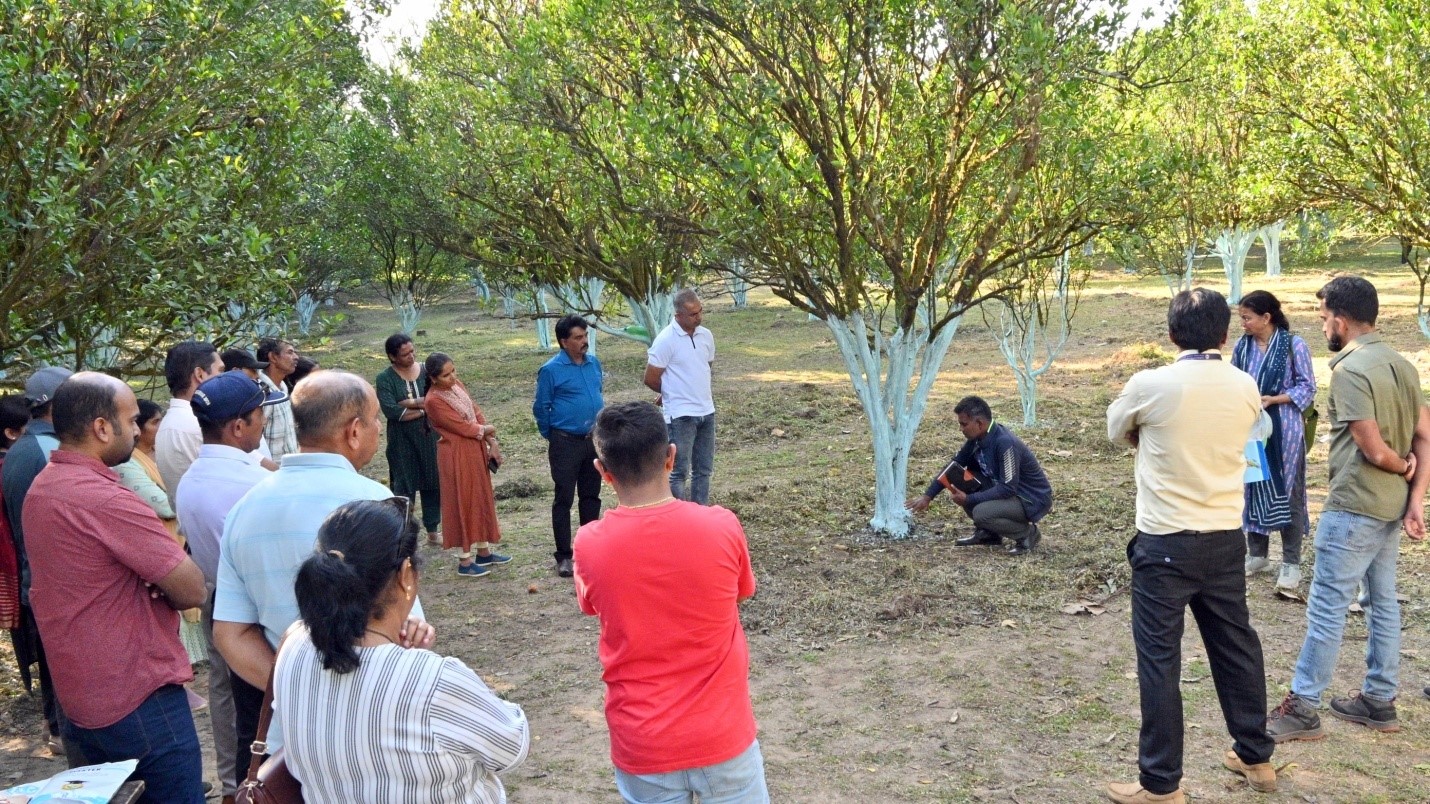 ICAR-IIHR-Central Horticultural Experiment Station, Chettalli organized Demonstration of Coorg Mandarin Rejuvenation Technology in Kodagu on 17 December, 2025