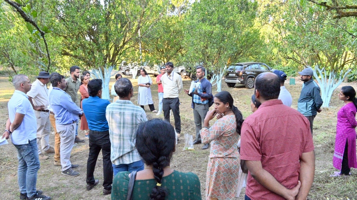 ICAR-IIHR-Central Horticultural Experiment Station, Chettalli organized Demonstration of Coorg Mandarin Rejuvenation Technology in Kodagu on 17 December, 2025
