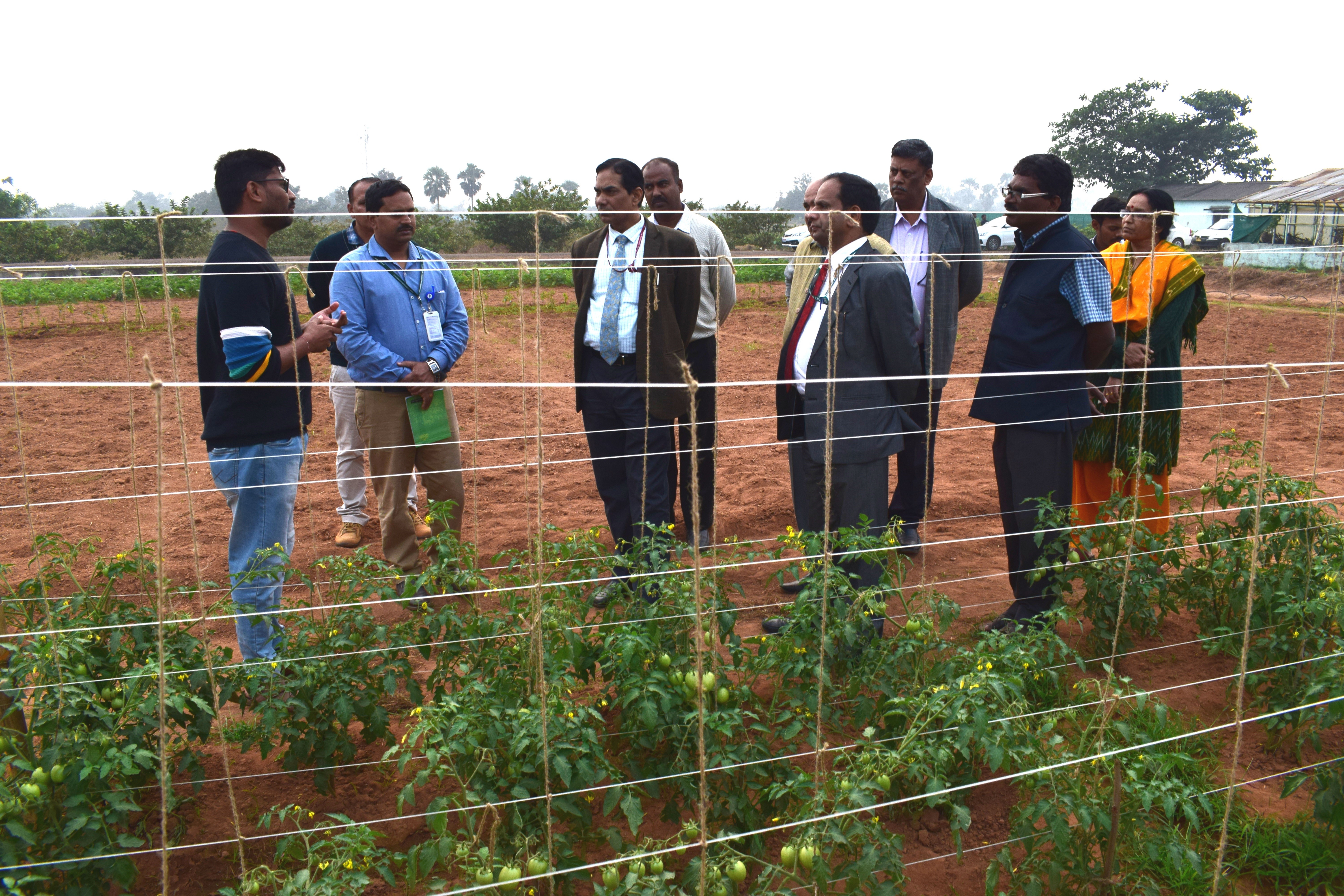 Hon’ble Secretary (DARE) & Director General (ICAR), Dr. Trilochan Mohapatra; visited Central Horticultural Experiment Station, ICAR-IIHR, Bhubaneswar