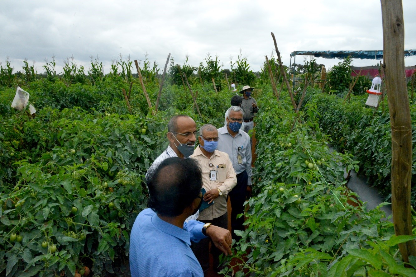 Field day on “Light Cum Suction trap based integrated management of South American Tomato moth, Tuta absoluta”  in  Seethekempanahalli village, Bengaluru North District, Karnataka on 09.12.2020