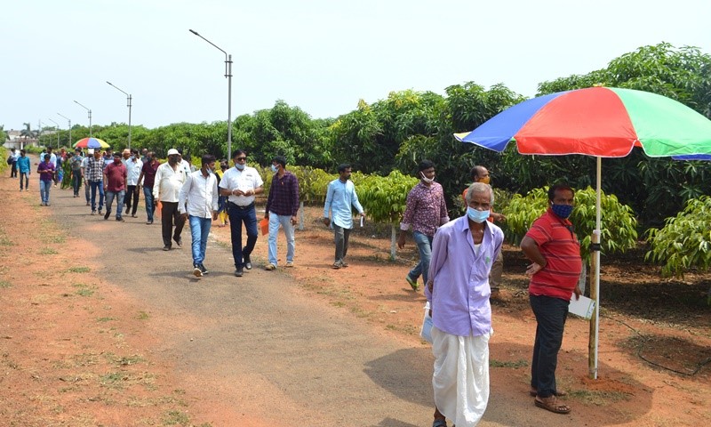 Field Day on Arka Neelachal Kesari: An Extra Early Mango, was organized by CHES (ICAR-IIHR), Bhubaneswar