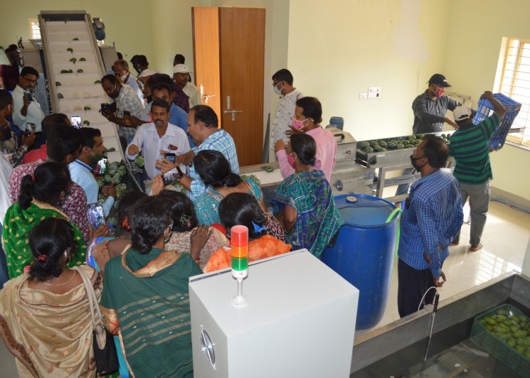 Field Day on Arka Neelachal Kesari: An Extra Early Mango, was organized by CHES (ICAR-IIHR), Bhubaneswar