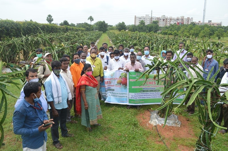Training cum Exposure visit organized for FPO of Andhra Pradesh by CHES (ICAR-IIHR), Bhubaneswar