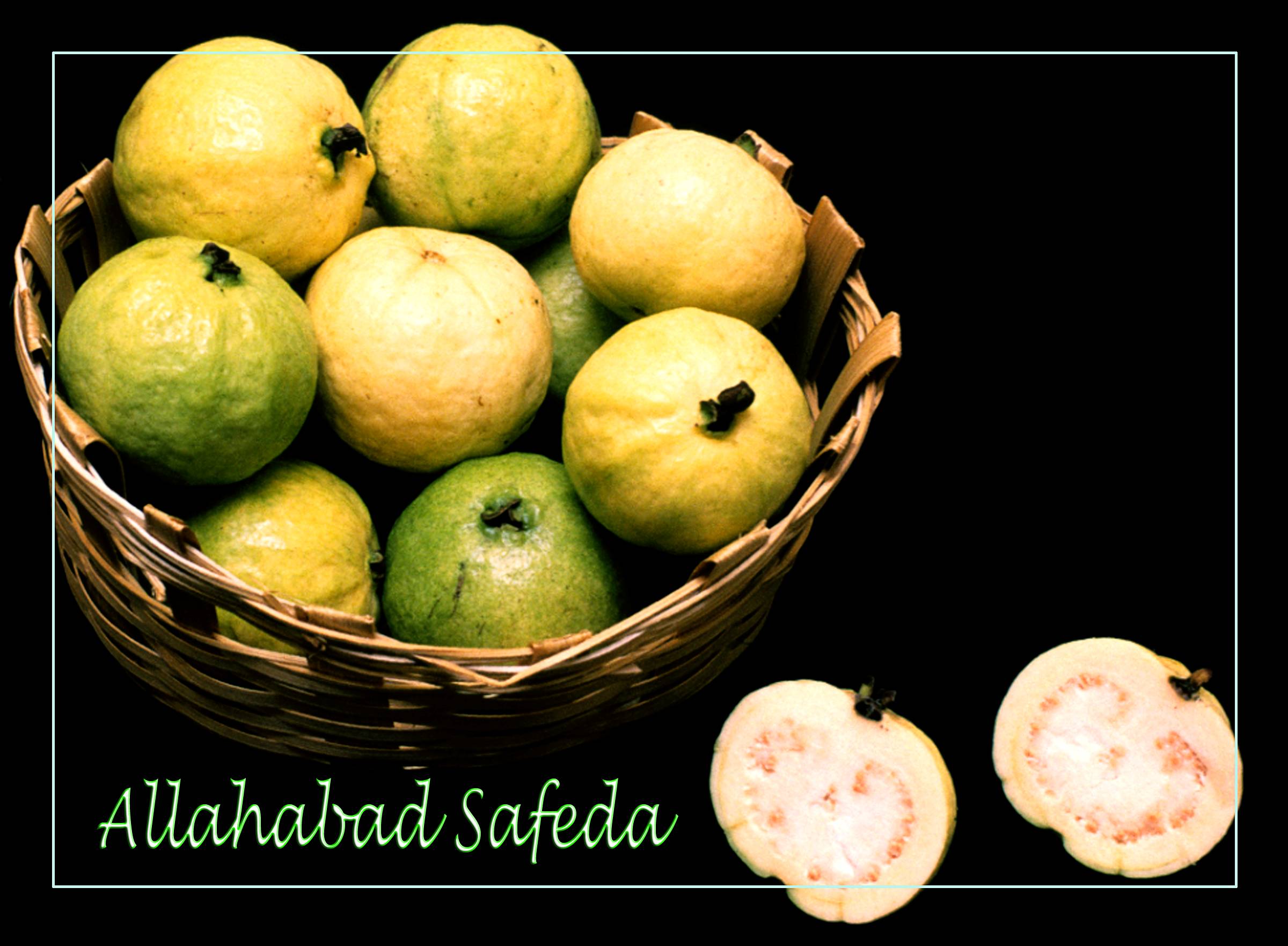 ICAR-IIHR Varieties Photos