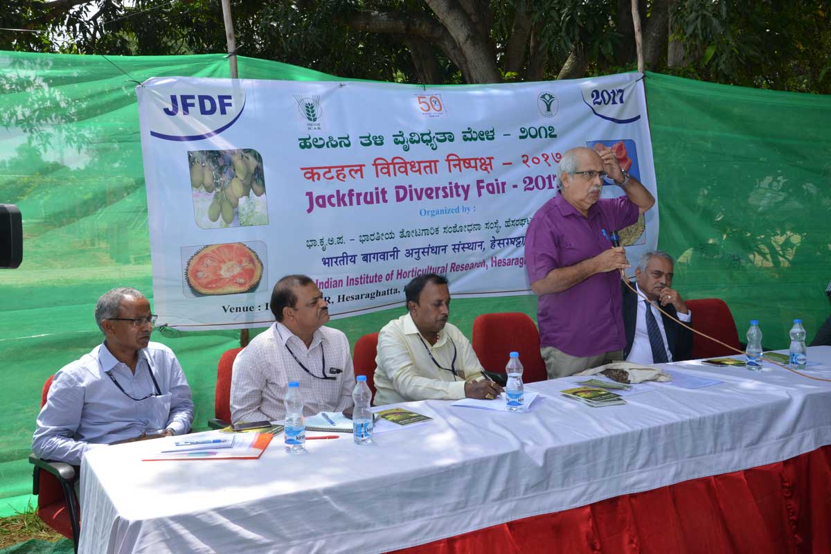 Jack Fruit Diversity Fair 2017