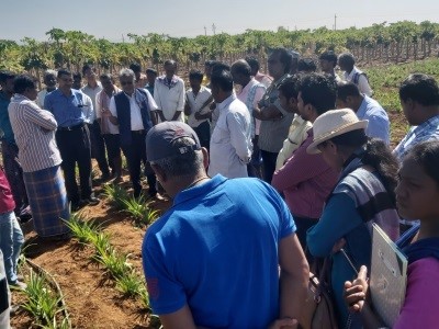 Tuberose Field Day was Organized at Gowribidanur Taluk on 23rd  January, 2020