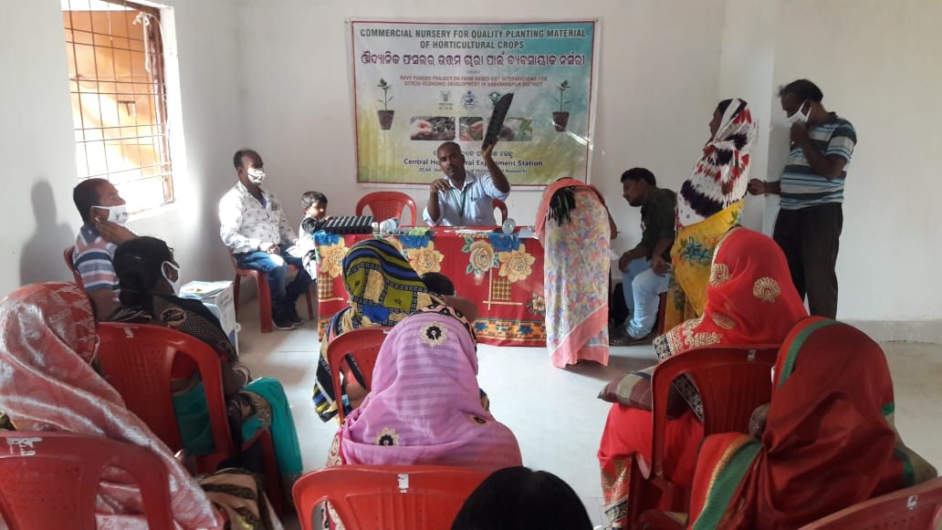 Training programmes on horticulture based interventions organized for socio-economic development of tribal-dominated Nabarangpur district
