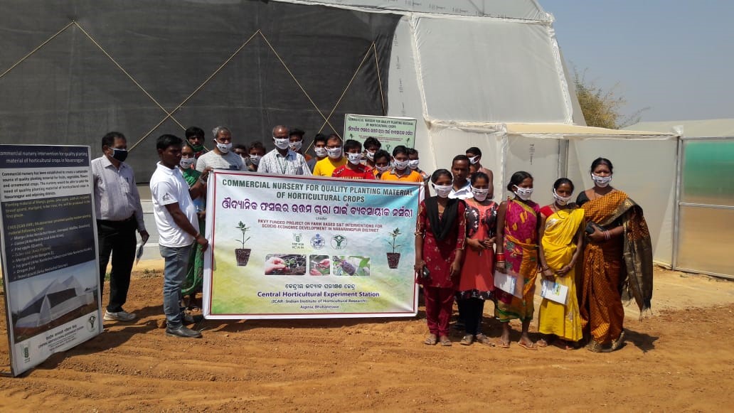 Training programmes on horticulture based interventions organized for socio-economic development of tribal-dominated Nabarangpur district