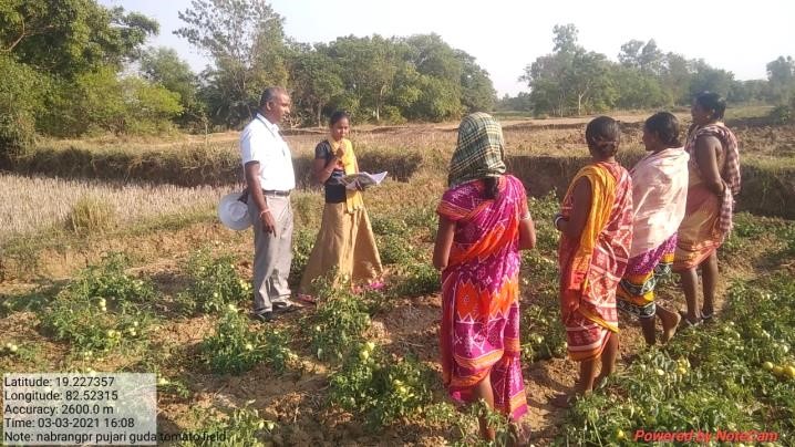 Training programmes on horticulture based interventions organized for socio-economic development of tribal-dominated Nabarangpur district